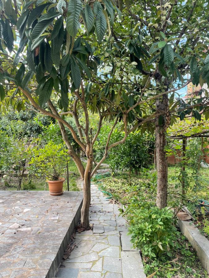 Appartamento Gardenie Kutaisi Esterno foto